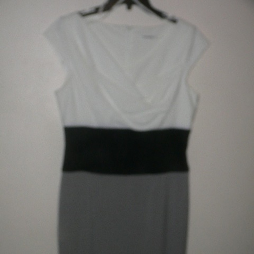 Calvin Klein Color Block Dress (Size 8)